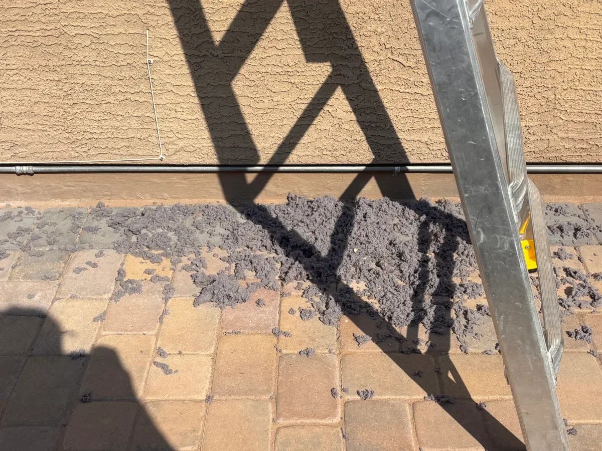 Pile of dryer lint on paver walkway outside an Arizona home